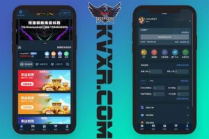 U8娱乐哈希平台源码/四种哈希彩票玩法/无限代/USDT/TRX场/五国语言/带原生APP