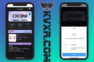 USDT和TRX盗U源码/DAPP秒U系统/支持IM钱包/TP钱包/tronlink钱包