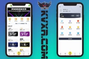 多语言shopify电商SaaS平台刷单源码/抢单刷单系统/订单自动匹配