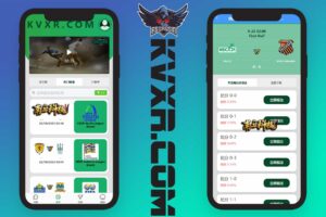 SOCCER海外足球反波胆源码/18国语言/在线银行USDT充值系统/内置聊天/原生APP/多国赛事