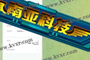 12月16日 聊天+服务器防御/已交付