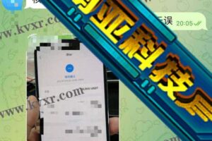 12月1日 聊天+维护+续费+换服务器+平台名字/已交付