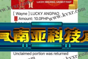 11月28日 客户介绍+两套TG扫雷红包+中英文版本/已交付