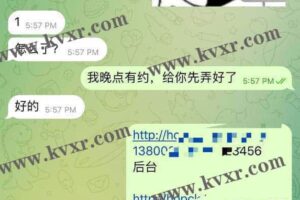 3月30日 HOPEX交易所/已交付