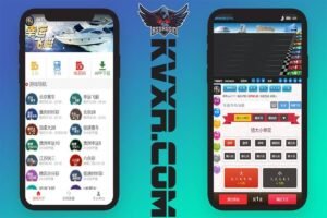 H5飞鸟源码 | CQ飞鸟完整版的linux运行流畅带采集脚本