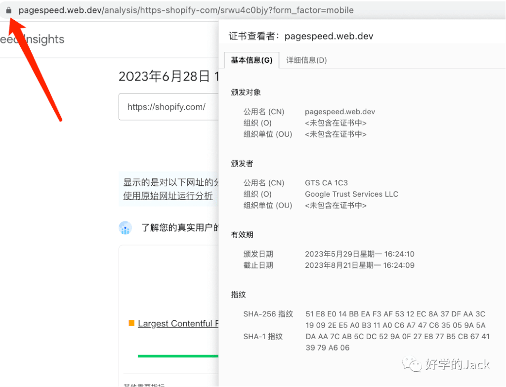 如何分析行业 SEO TOP 网站--6000字干货