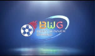 BWG包网平台：定制化服务助力您的娱乐帝国