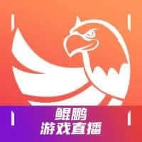 鲲鹏游戏直播包网：引领科技创新，开启未来之路
