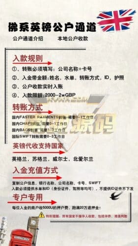 全球支付承兑 支付通道 卡接回U D0结算
