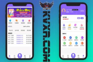 V8版本京东淘宝自动抢单系统源码/刷单系统源码