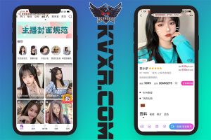 One-to-one dating source code/social dating platform/chat room/short video system/voice live social app/video dating