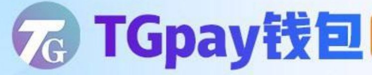 一站式聚合支付服务，TGpay为商户提供全面解决方案
